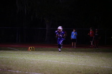 Enlarge photo 334