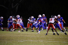 Enlarge photo 463