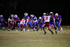 Enlarge photo 461