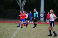 Enlarge photo 31