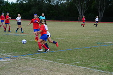 Enlarge photo 90