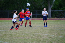 Enlarge photo 110