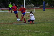 Enlarge photo 116