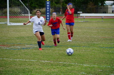 Enlarge photo 143