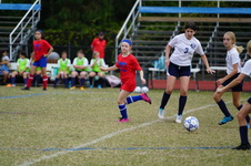 Enlarge photo 173