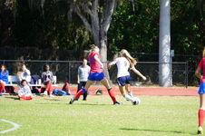 Enlarge photo 48