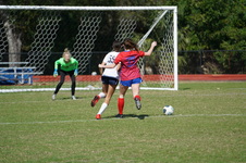 Enlarge photo 51