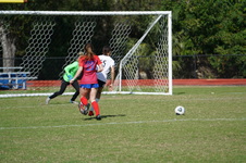 Enlarge photo 53