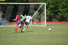 Enlarge photo 55