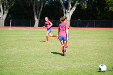 Enlarge photo 79