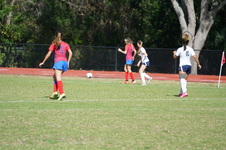 Enlarge photo 91