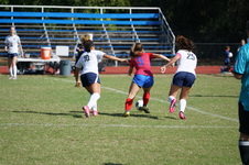 Enlarge photo 113