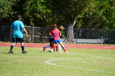 Enlarge photo 135