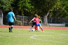 Enlarge photo 136