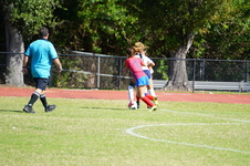 Enlarge photo 137
