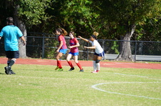 Enlarge photo 141