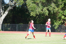 Enlarge photo 146