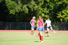 Enlarge photo 153
