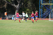 Enlarge photo 162