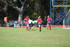 Enlarge photo 163