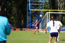 Enlarge photo 165