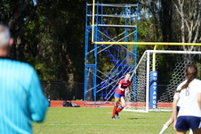 Enlarge photo 167