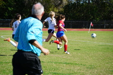 Enlarge photo 171