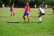Enlarge photo 212