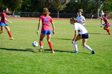 Enlarge photo 214