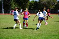 Enlarge photo 216