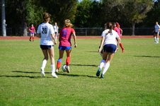 Enlarge photo 217