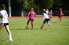 Enlarge photo 223