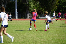 Enlarge photo 224