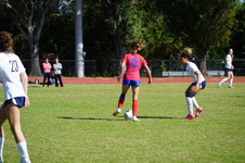 Enlarge photo 227