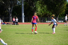 Enlarge photo 225
