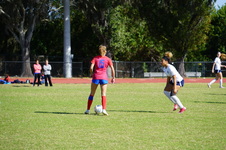 Enlarge photo 228