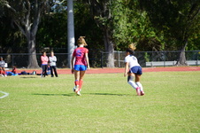 Enlarge photo 229