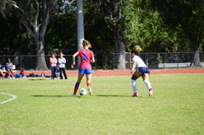 Enlarge photo 230