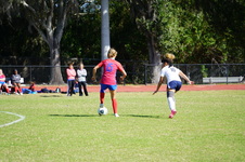 Enlarge photo 231