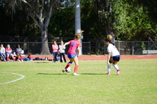 Enlarge photo 233