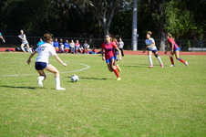 Enlarge photo 239