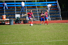 Enlarge photo 271