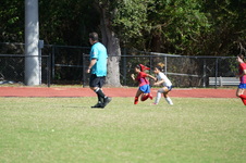 Enlarge photo 299
