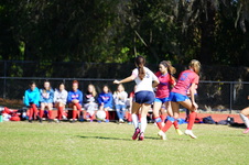 Enlarge photo 305
