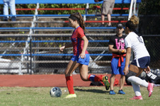Enlarge photo 307