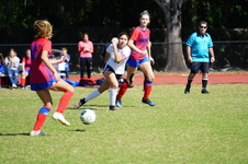 Enlarge photo 327