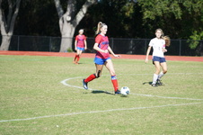 Enlarge photo 335