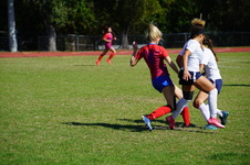 Enlarge photo 347