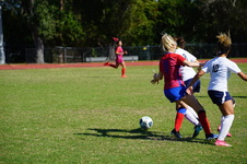 Enlarge photo 348