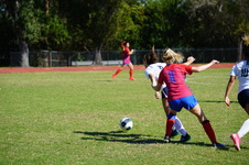 Enlarge photo 349